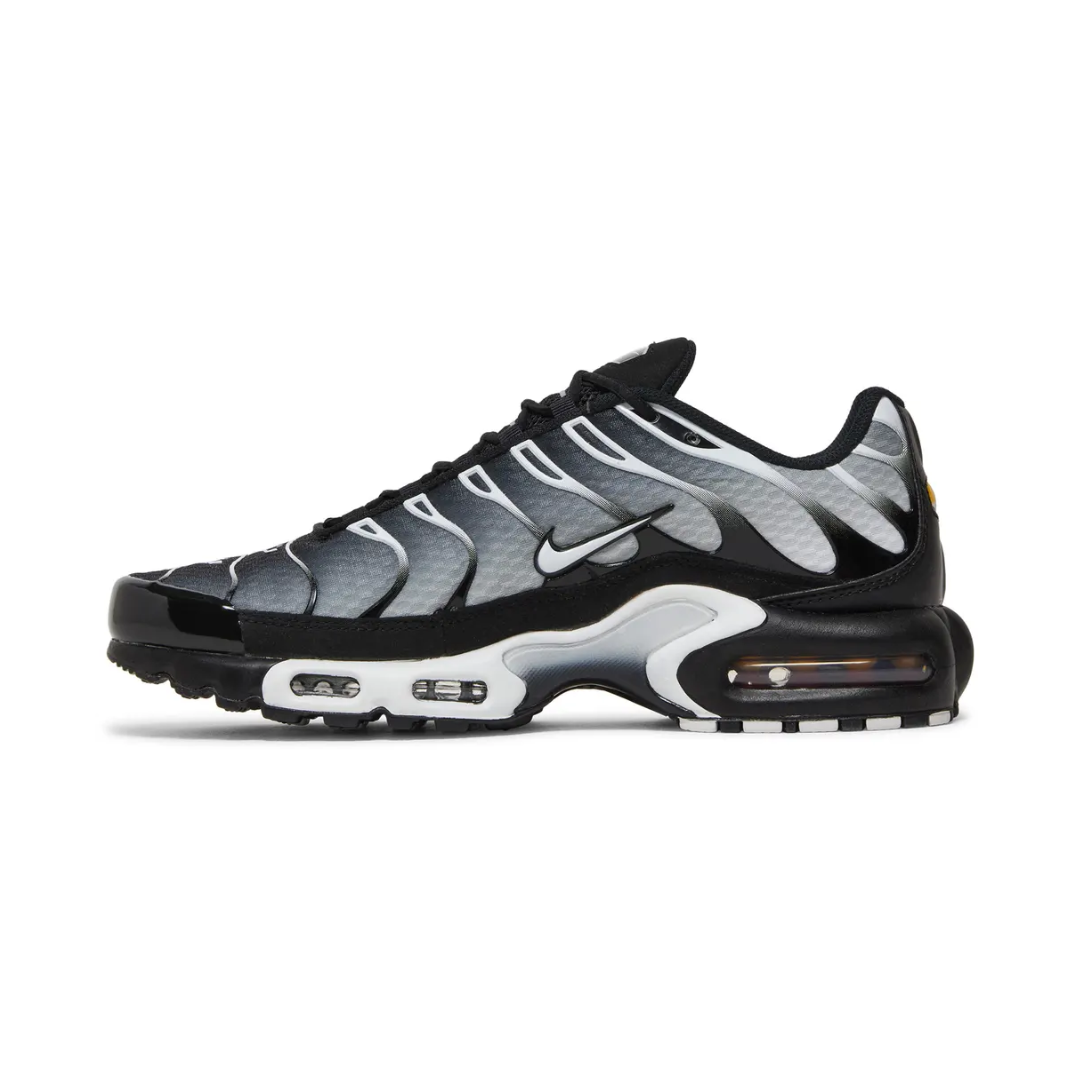 Air Max TN Plus - "Black Metallic Silver"