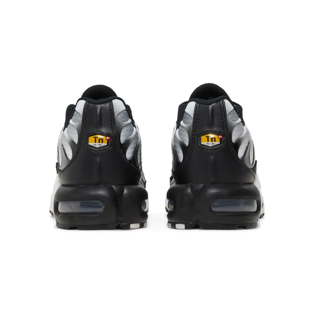 Air Max TN Plus - "Black Metallic Silver"