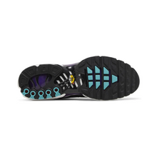 Air Max TN Plus - "Reverse Grape"