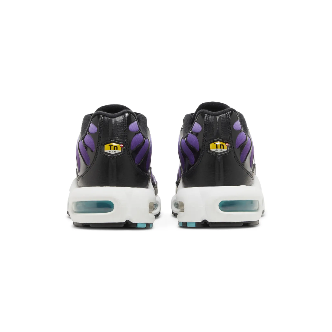 Air Max TN Plus - "Reverse Grape"
