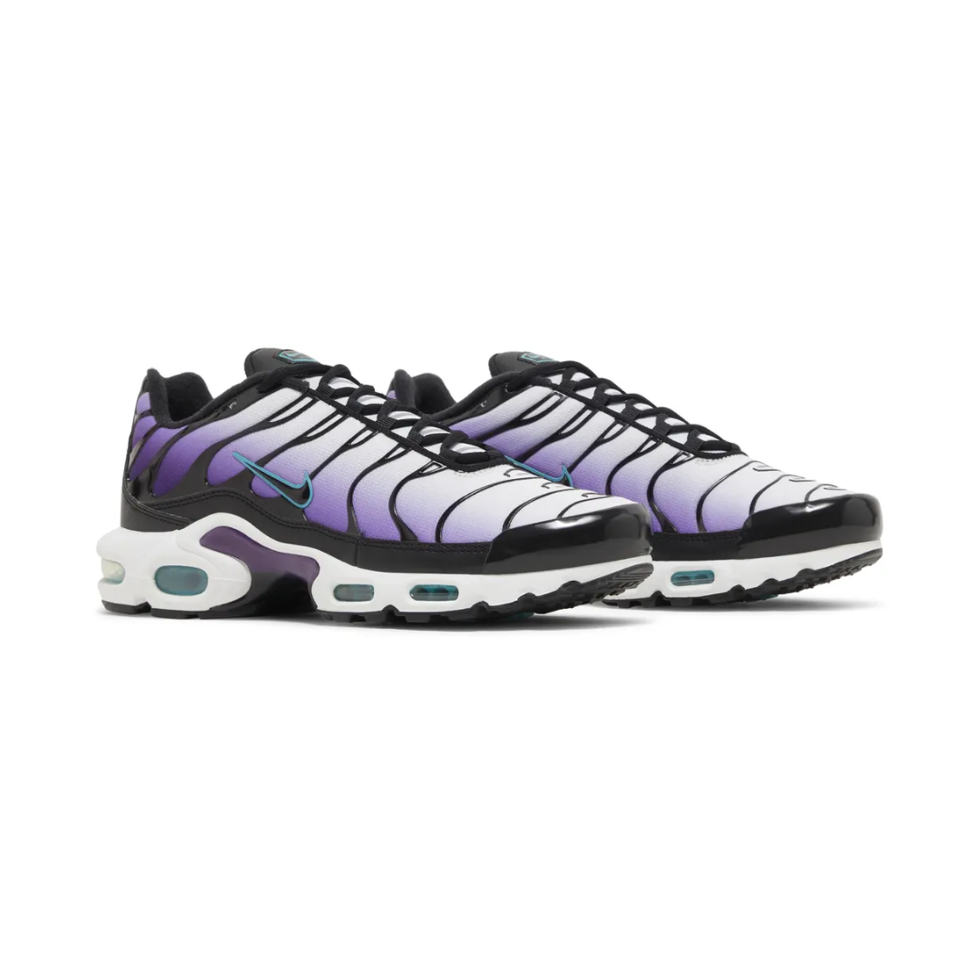 Air Max TN Plus - "Reverse Grape"