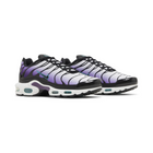Air Max TN Plus - "Reverse Grape"