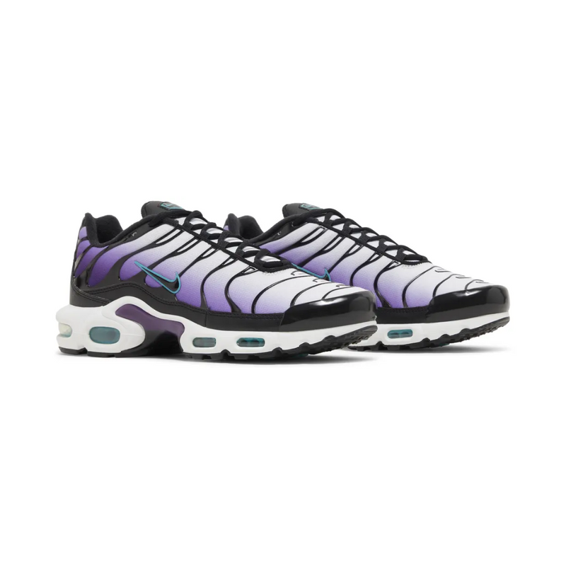 Air Max TN Plus - "Reverse Grape"